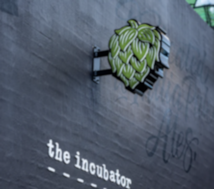 The Incubator 17